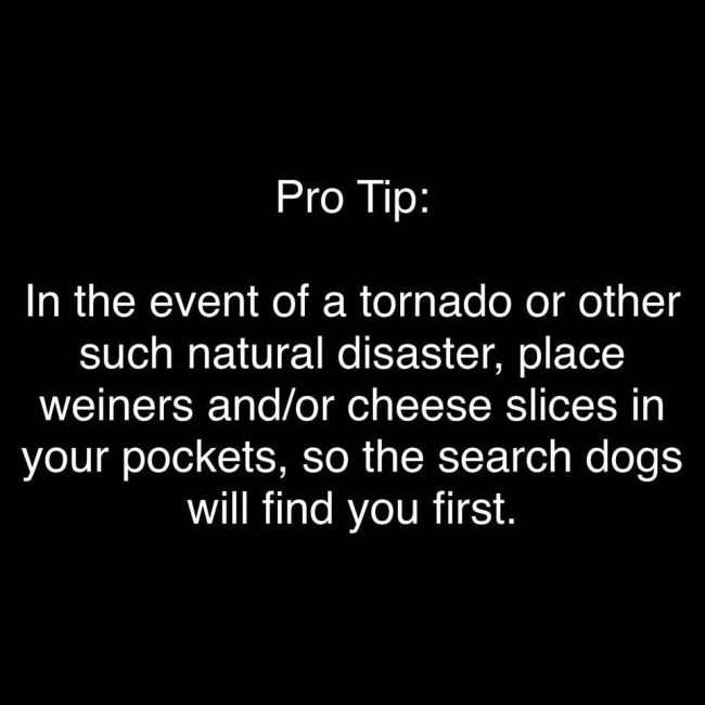 civ v tech quotes - Pro Tip . In the event of a tornado or other such natural disaster, place weiners andor cheese slices in your pockets, so the search dogs will find you first.