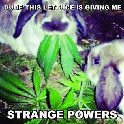 Strange powers