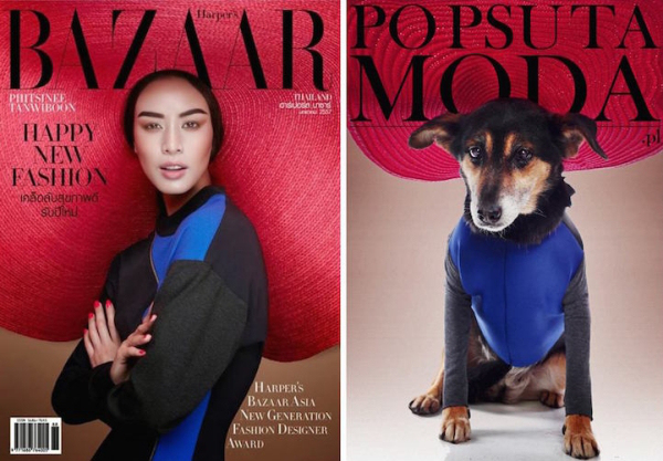 Non-profit recreates magazine covers to help shelter dogs get adopted