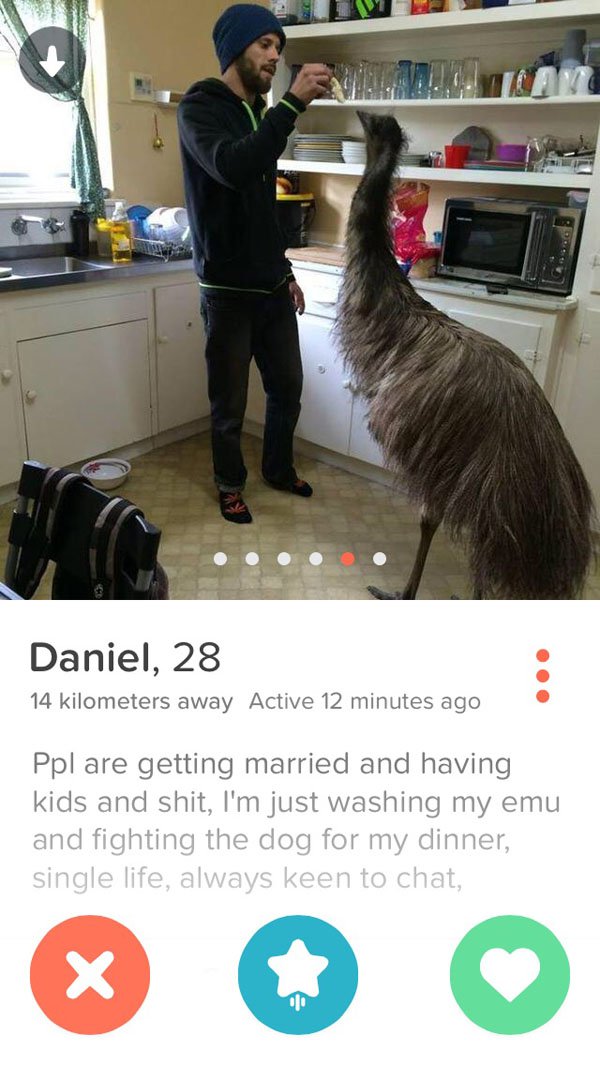 tinder funny - Daniel, 28 14 kilometers away Active 12 minutes ago Ppl are getting married and having kids and shit, I'm just washing my emu and fighting the dog for my dinner, single life, always keen to chat,
