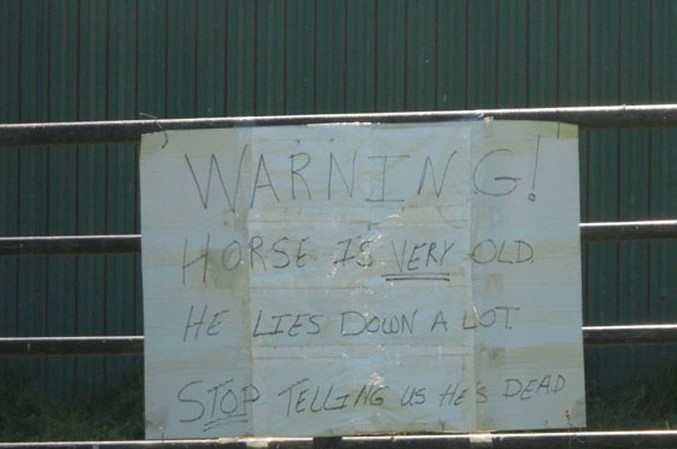 architecture - Warning Horse Is Very Old He Lies Down A Lot Stop Telling Us He'S Dead