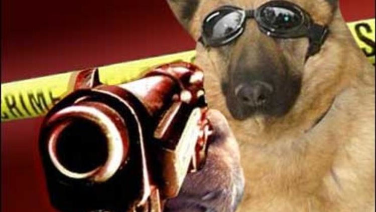 Dog reportedly shoots pizza delivery man