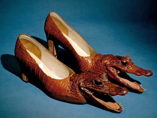 alligator shoes meme