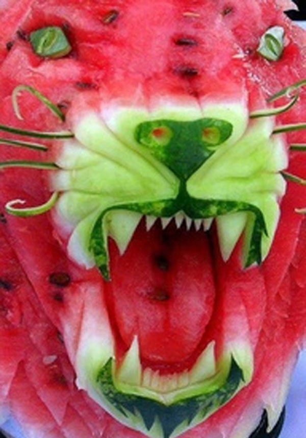 watermelon tiger