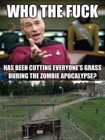 funny forrest gump memes - Who The Fuck Has Been Cutting Everyone'S Grass During The Zombie Apocalypse?