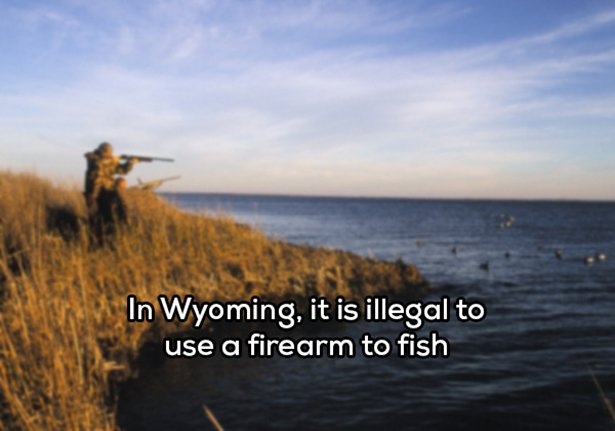 20 Ridiculous Laws That Are Still in Use-