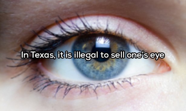 20 Ridiculous Laws That Are Still in Use-