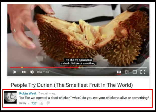 funniest youtube food comments - It's we opened a dead chicken or something. People Try Durian The Smelliest Fruit In The World Robin West 3 months ago "Its we opened a dead chicken what? do you eat your chickens alive or something? 737