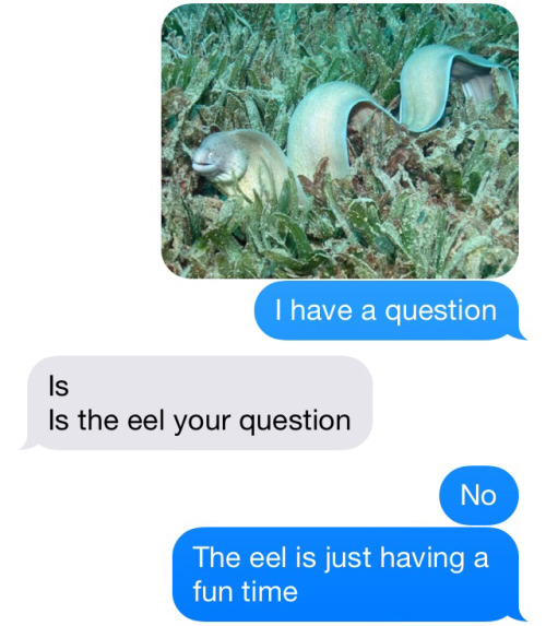 24  Funniest Texts Ever Sent