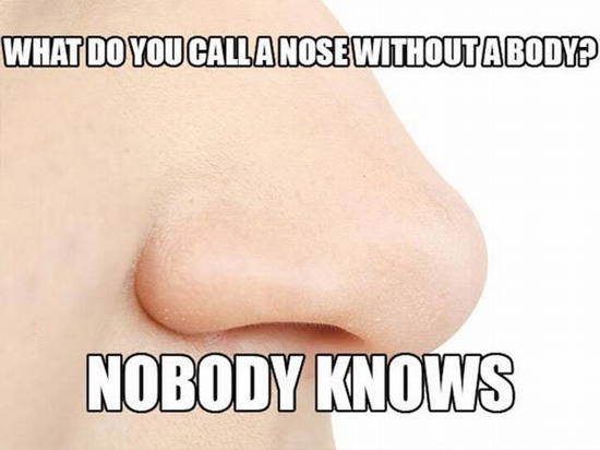 corny dad joke Pun - What Do You Calla Nose Without Abodyp Nobody Knows