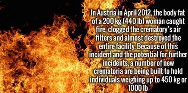 body count body count - In Austria in , the body fat of a 200 kg 440 lb woman caught fire, clogged the crematory's air filters and almost destroyed the entire facility. Because of this incident and the potential for further 5 incidents, a number of new cr