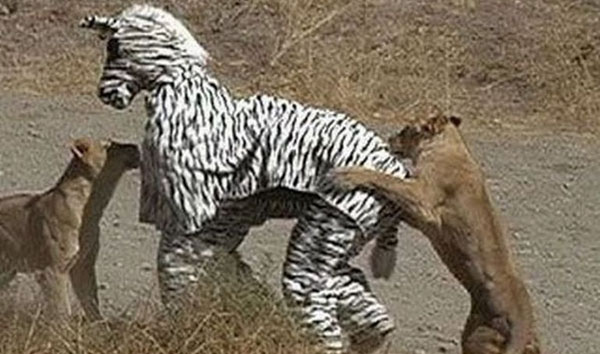 Impersonating a Zebra in the Serengeti-