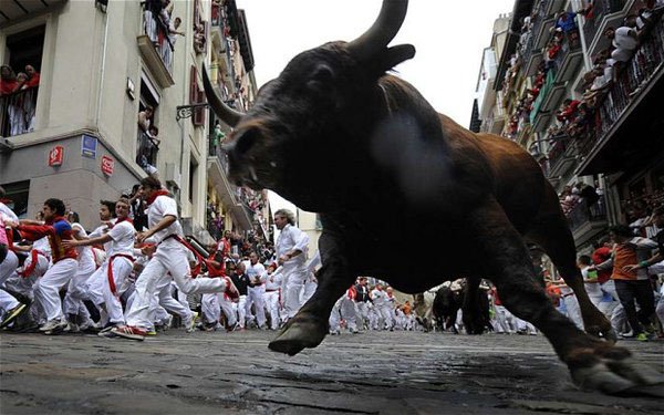 Running with the Bulls in Spain