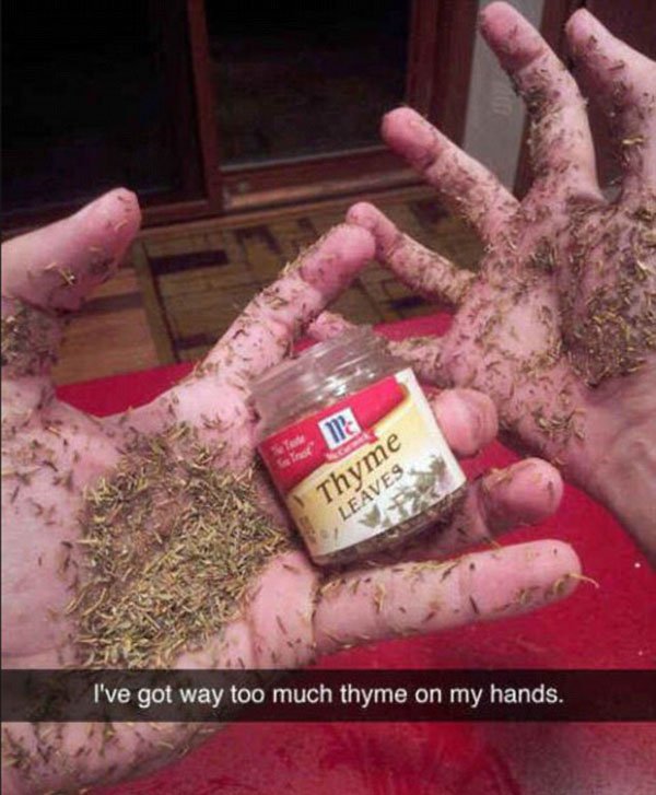 snapchat too much thyme on my hands - a Prof Mc Thyme Leaves I've got way too much thyme on my hands.