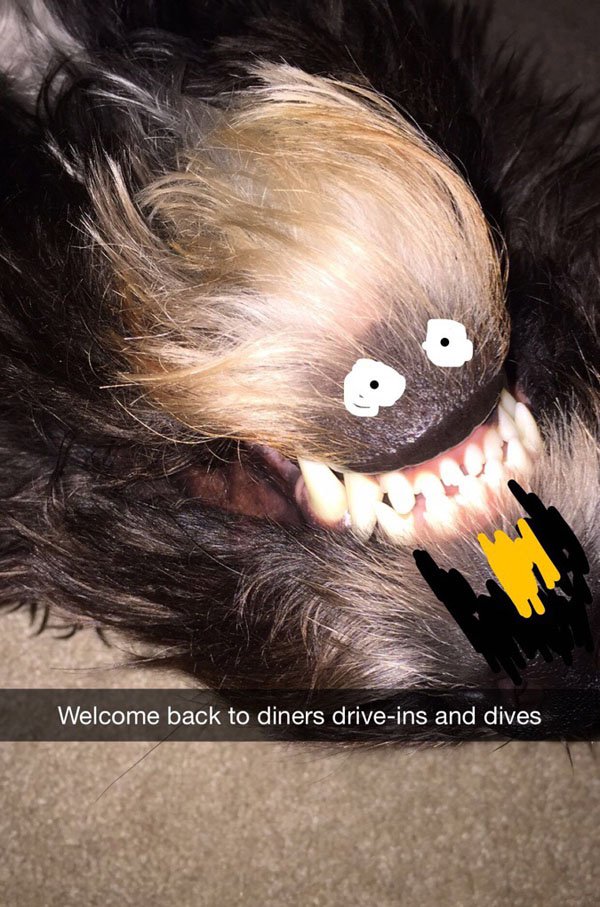snapchat eye - Welcome back to diners driveins and dives