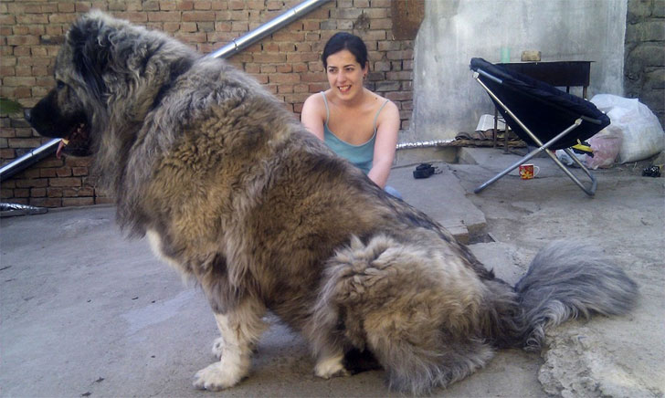 50 Things You Just Don't See Everyday!