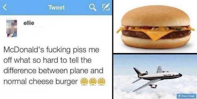 plane and normal cheeseburger - Tweet a re ellie McDonald's fucking piss me off what so hard to tell the difference between plane and normal cheese burger Image