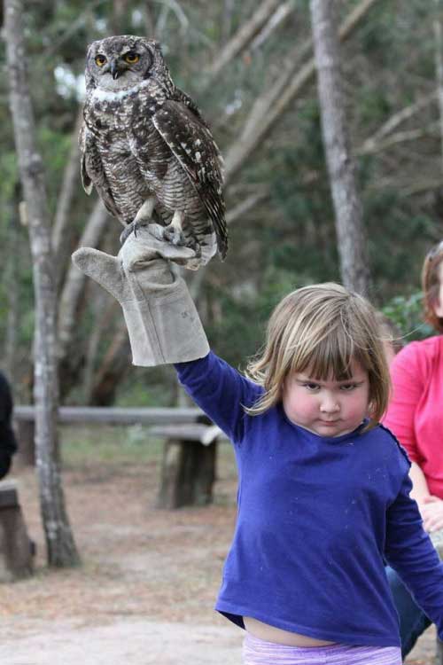 funny girl holding owl