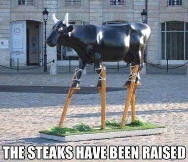 funny triborough bridge - He 7 . The Steaks Have Been Raised
