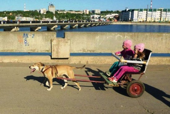 36 Strange Things That Are So Russia!