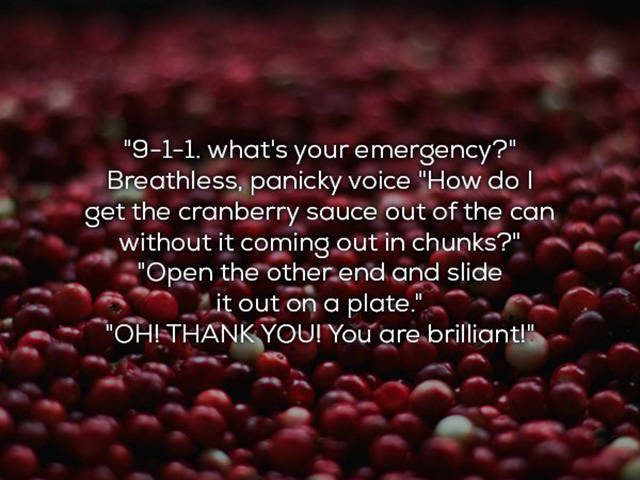 ridiculous 911 calls - "911. what's your emergency?" Breathless, panicky voice "How do get the cranberry sauce out of the can without it coming out in chunks?" "Open the other end and slide it out on a plate.". "Oh! Thank You! You are brilliant!"