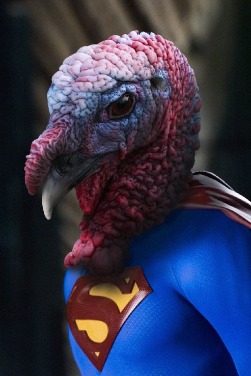 If Turkeys Ruled The World