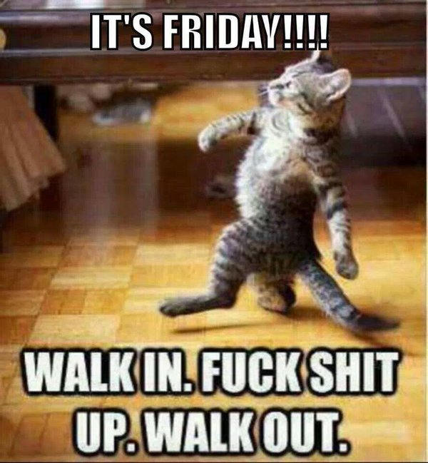 Friday meme about coming into work before the weekend with pic of cat walking with swag