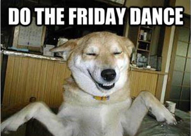 Friday meme with pic of dog dancing