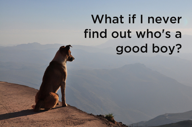 25 Dog Thoughts Your Dog Can Totally Relate To!