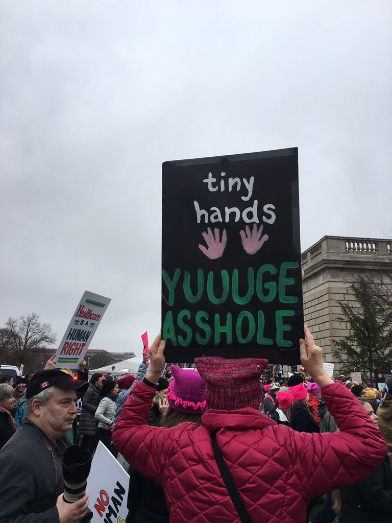 30 Funniest Silly Signs At The Womens March!