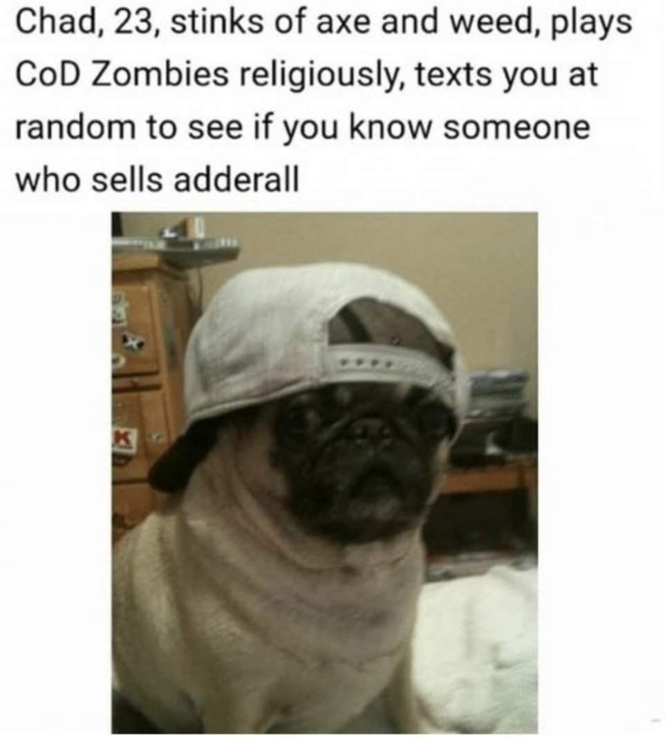 dog with backwards hat - Chad, 23, stinks of axe and weed, plays Cod Zombies religiously, texts you at random to see if you know someone who sells adderall