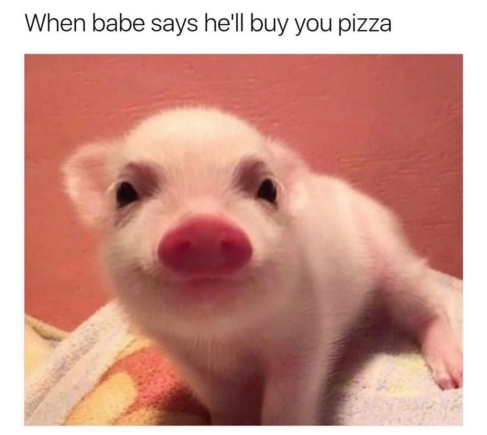 have a great day pig - When babe says he'll buy you pizza