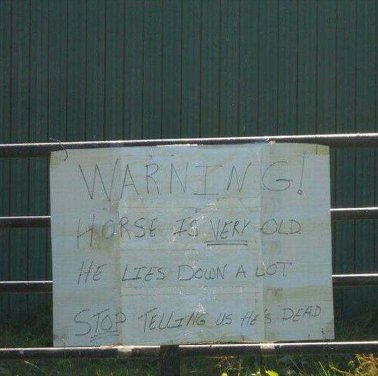 funny sign of someone who owns a very old horse and people keep telling him it is dead when it takes a nap.