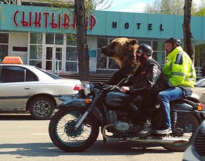 Funny picture from Russia of motorcycle with two riders and a full grown bear.