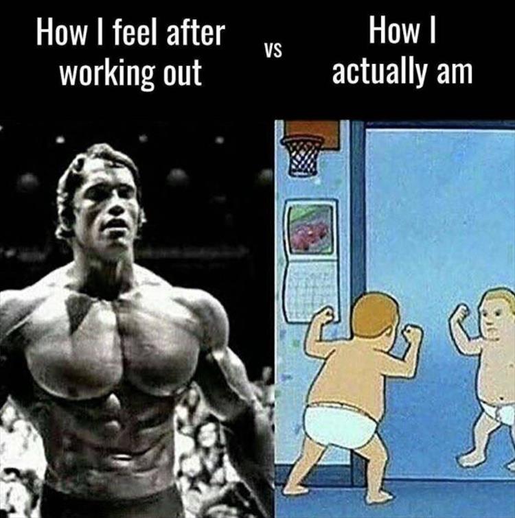 Arnold Schwarzenegger meme of how it feels after working out vs how it actually looks.