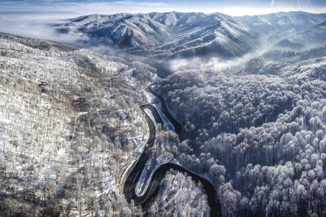 Infinite Road To Transylvania, Romania 2