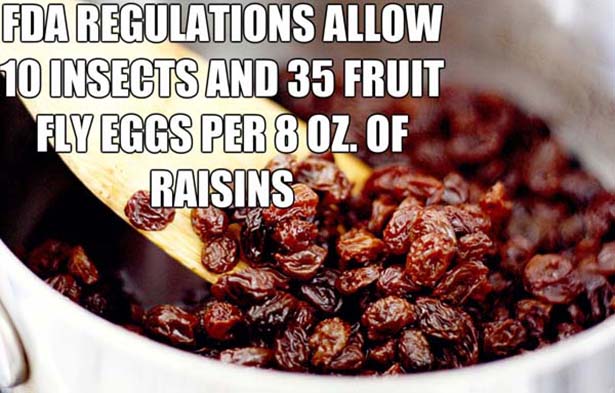 Fda Regulations Allow 10 Insects And 35 Fruit Fly Eggs Per 8 Oz. Of Raisins