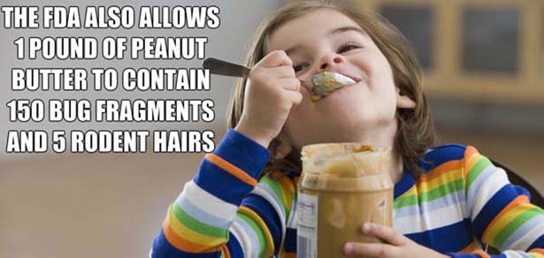 gross facts - The Fda Also Allows 1 Pound Of Peanut Butter To Contain 150 Bug Fragments And 5 Rodent Hairs