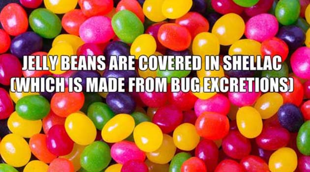 scotland sweet - Jelly Beans Are Covered In Shellac Which'Is Made From Bug Excretions