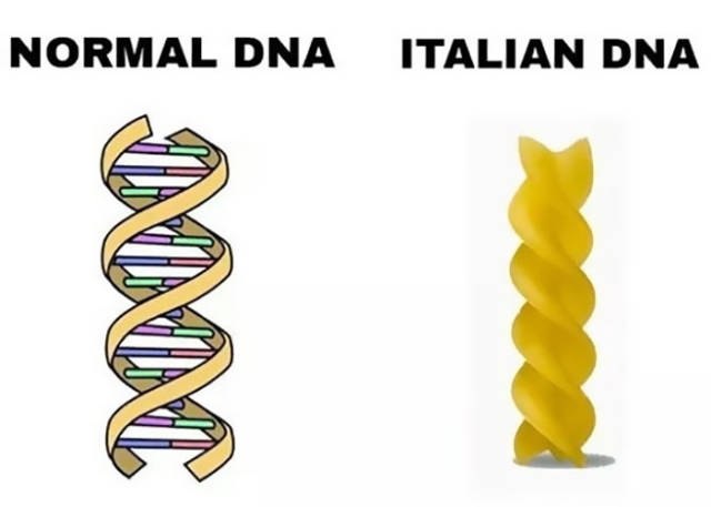 45 Jokes About Italians Are Simply Perfetto