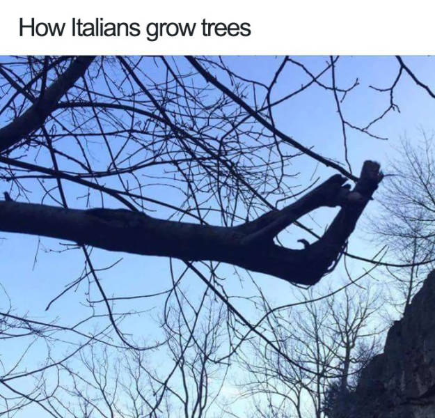 45 Jokes About Italians Are Simply Perfetto