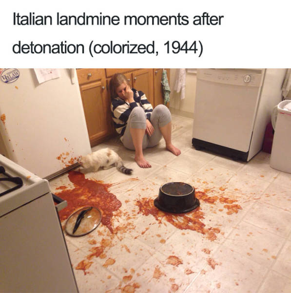 45 Jokes About Italians Are Simply Perfetto