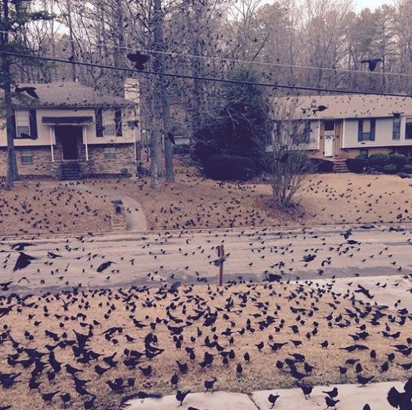 “So I woke up to this out front”