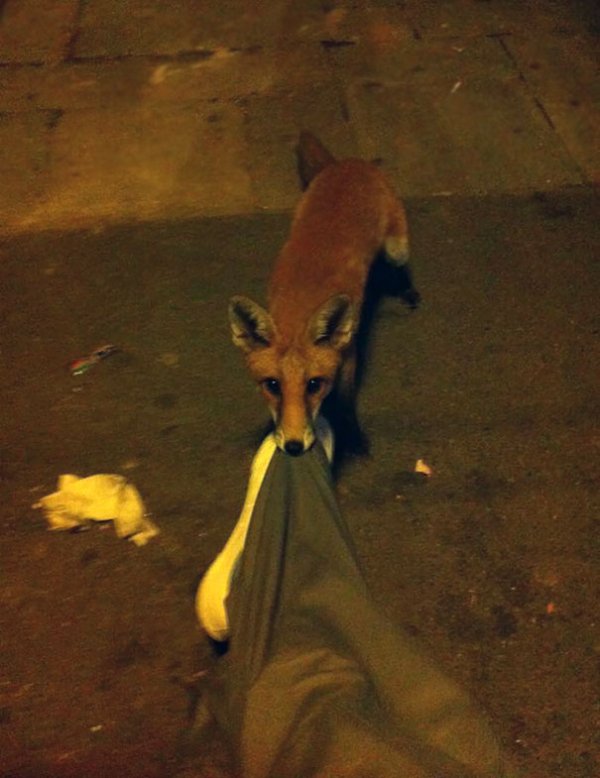 “Passed out at a London bus stop. Woke up to this”