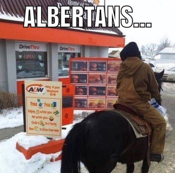 snow - Hom Albertans... Drive Thru DriveThu Open Acw hom Free Free ow b ahan | orinaa