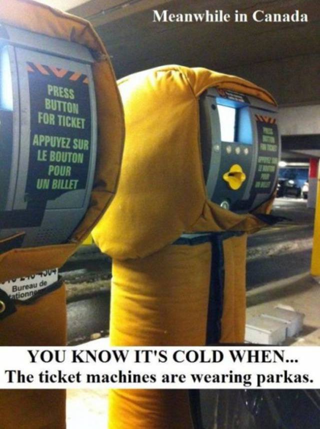 meanwhile in canada cold - Meanwhile in Canada Press Button For Ticket Appuyez Sur Le Bouton Pour Un Billet St 19 Bureau de ation You Know It'S Cold When... The ticket machines are wearing parkas.