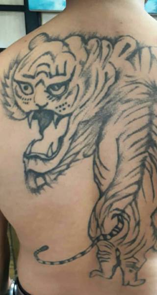 bad tiger tattoo