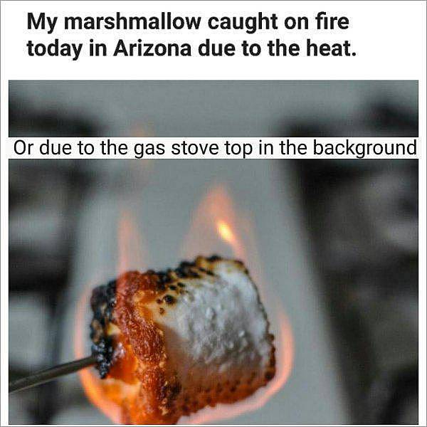 liars - photo caption - My marshmallow caught on fire today in Arizona due to the heat. Or due to the gas stove top in the background