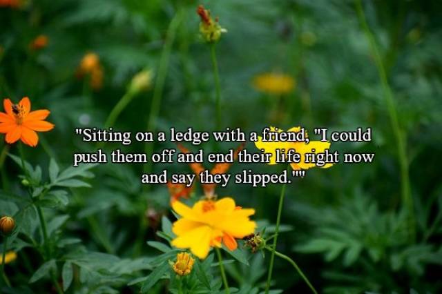 wildflower - "Sitting on a ledge with a friend, "I could push them off and end their life might now and say they slipped.""