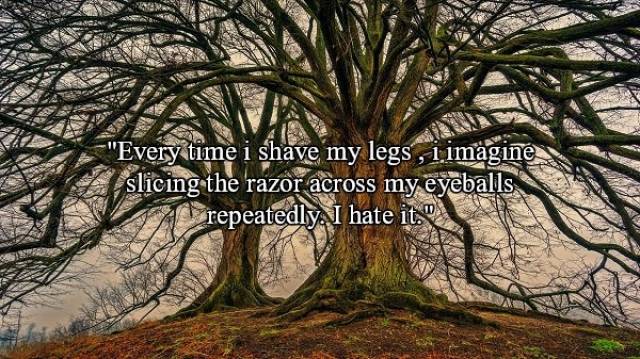 old trees hd - "Every time i shave my legs, I imagine slicing the razor across my eyeballs repeatedly. I hate it.